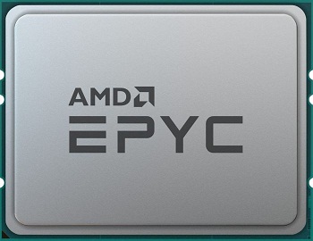 AMD 100-100000317WOF  