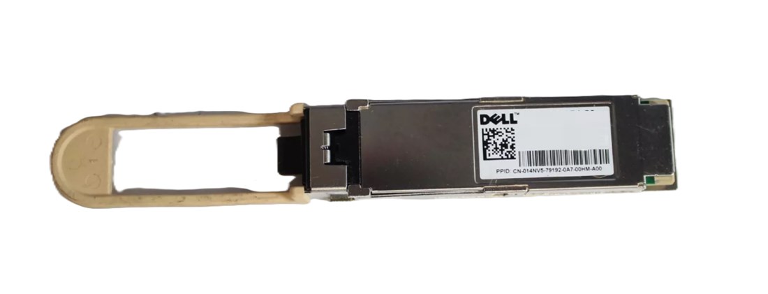 DELL 407-BBWV  