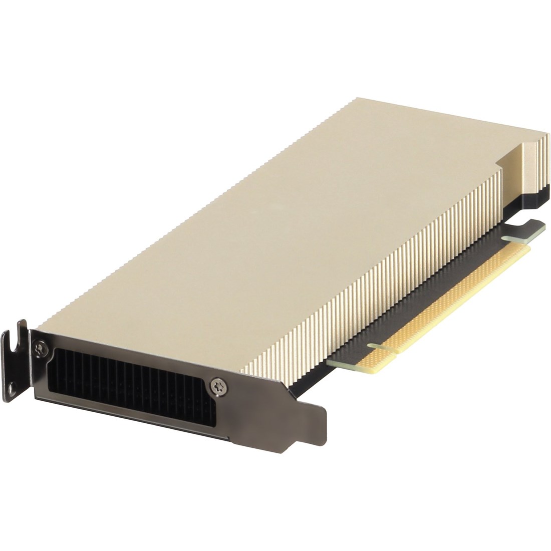 DELL JGDF6  