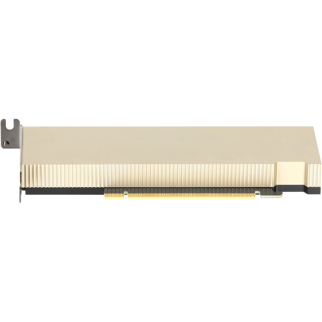DELL JGDF6  
