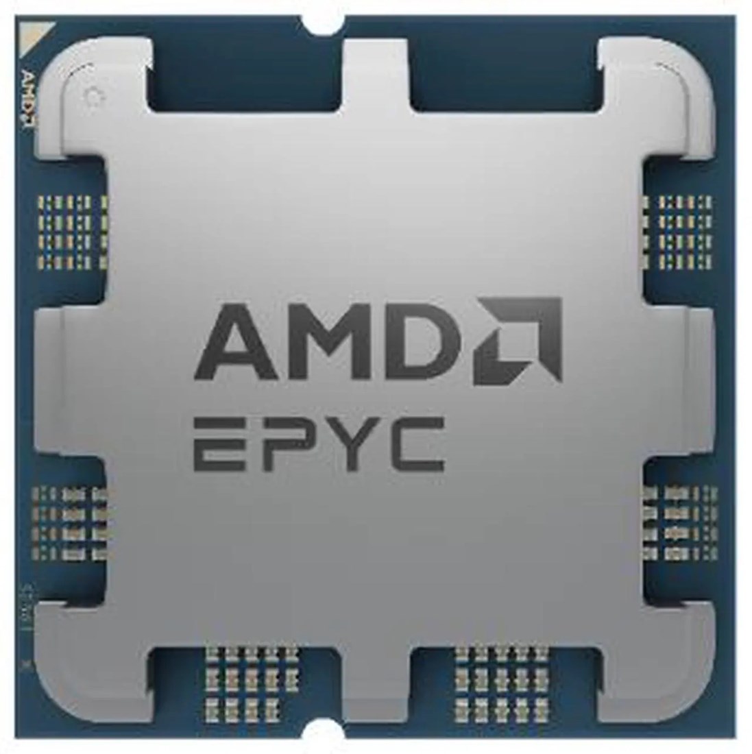 AMD 100-100001556WOF  
