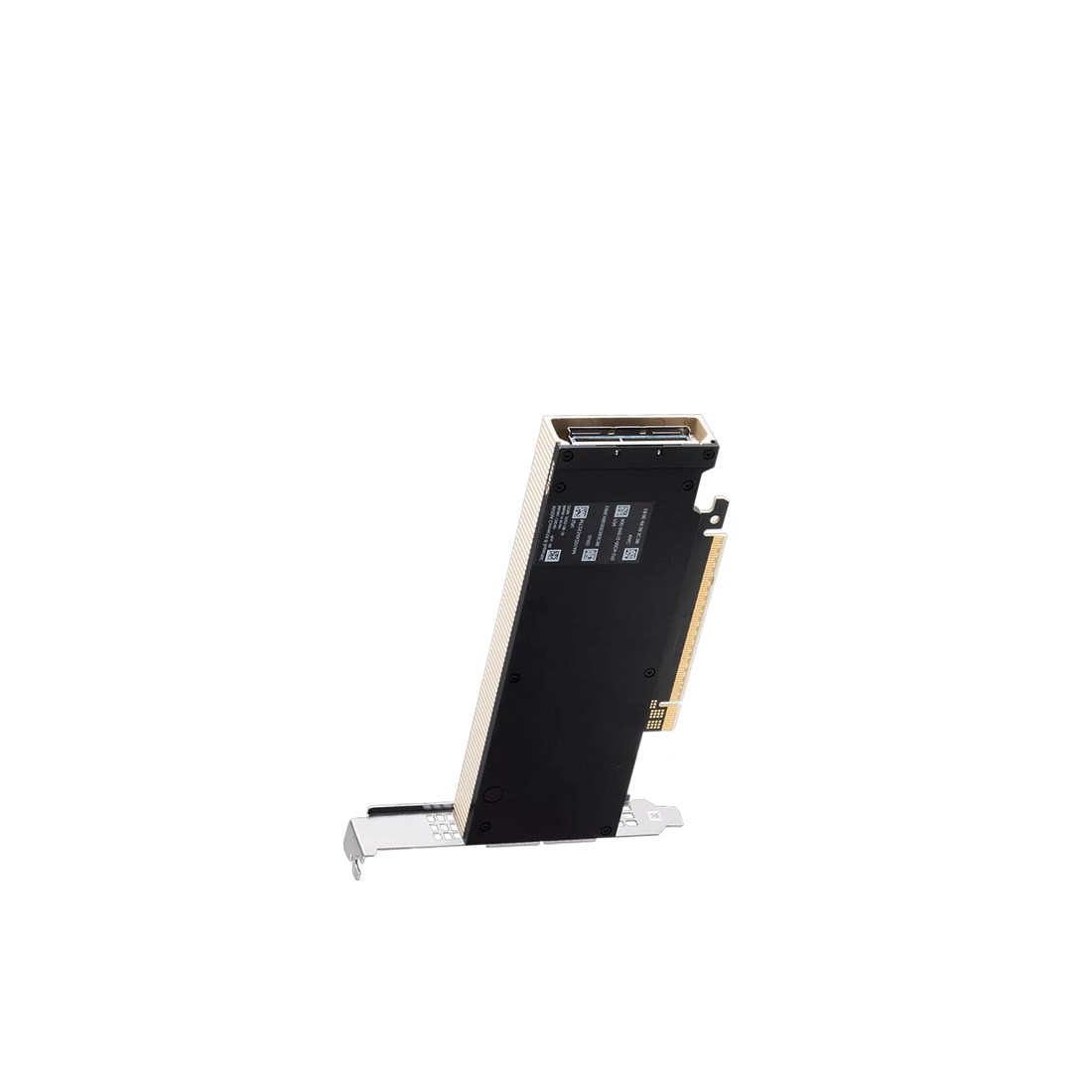 NVIDIA 900-9X81E-00EX-DT0  