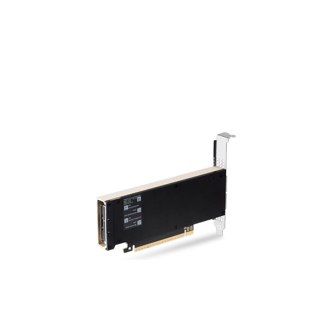 NVIDIA C8240  