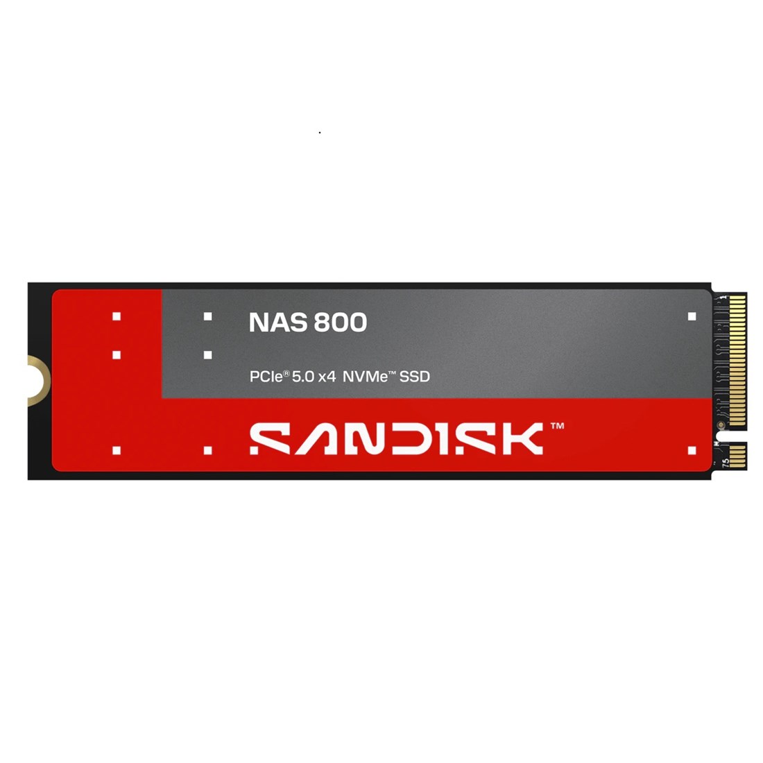 SANDISK SDSNP2192TAN  