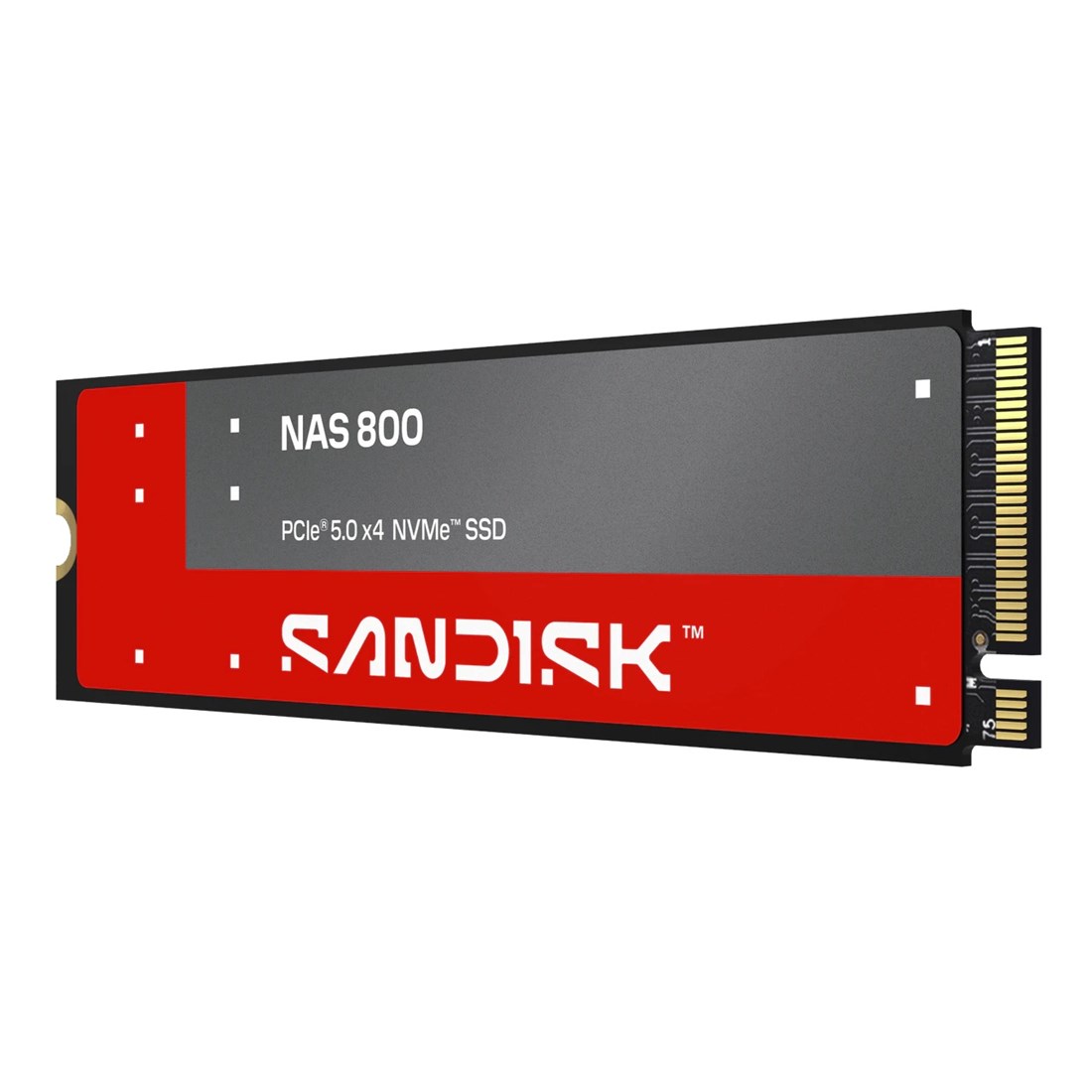 SANDISK SDSNP2192TAN  