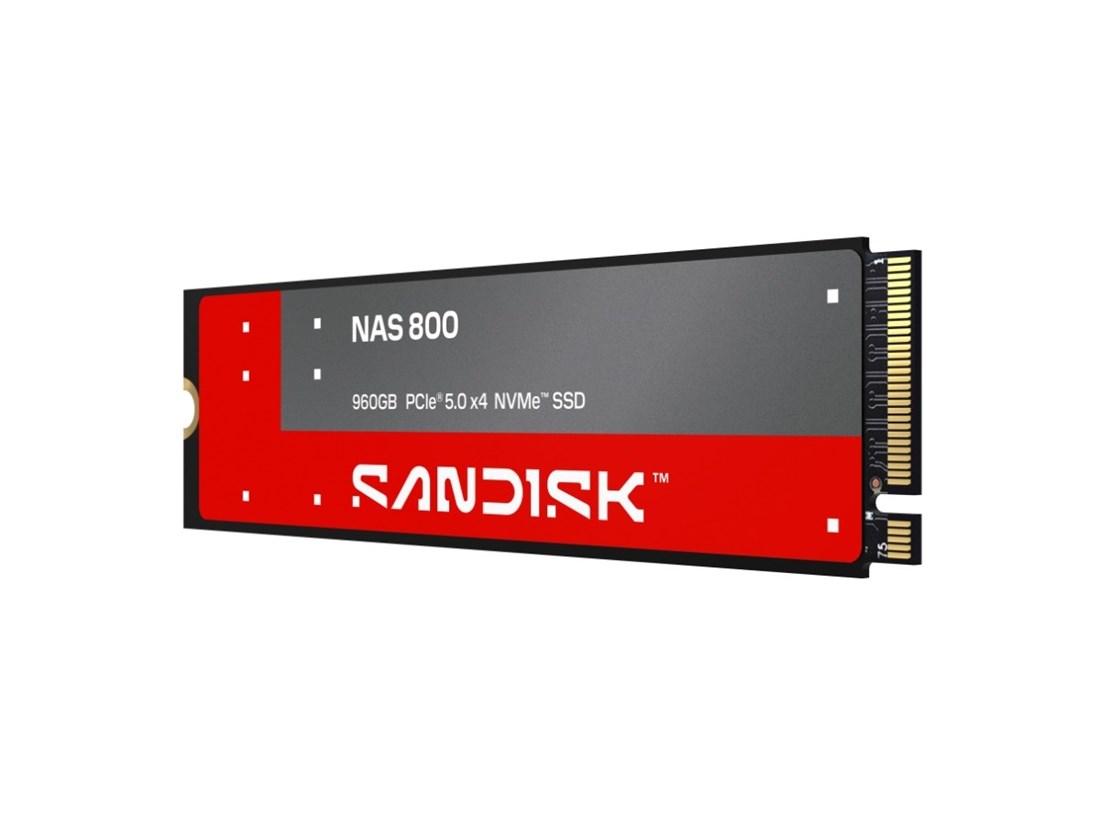 SANDISK SDSNP2960GAN  