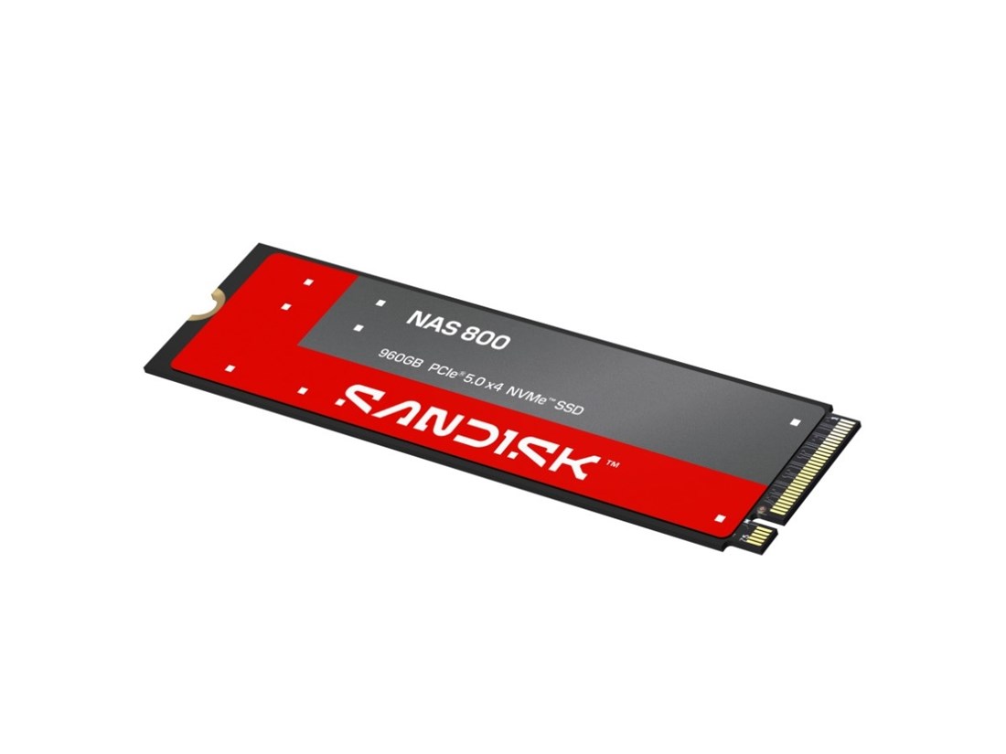 SANDISK SDSNP2960GAN  