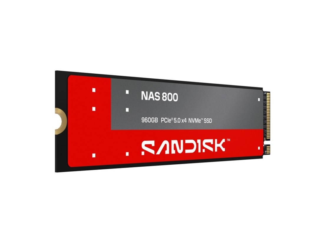 SANDISK SDSNP2960GAN  