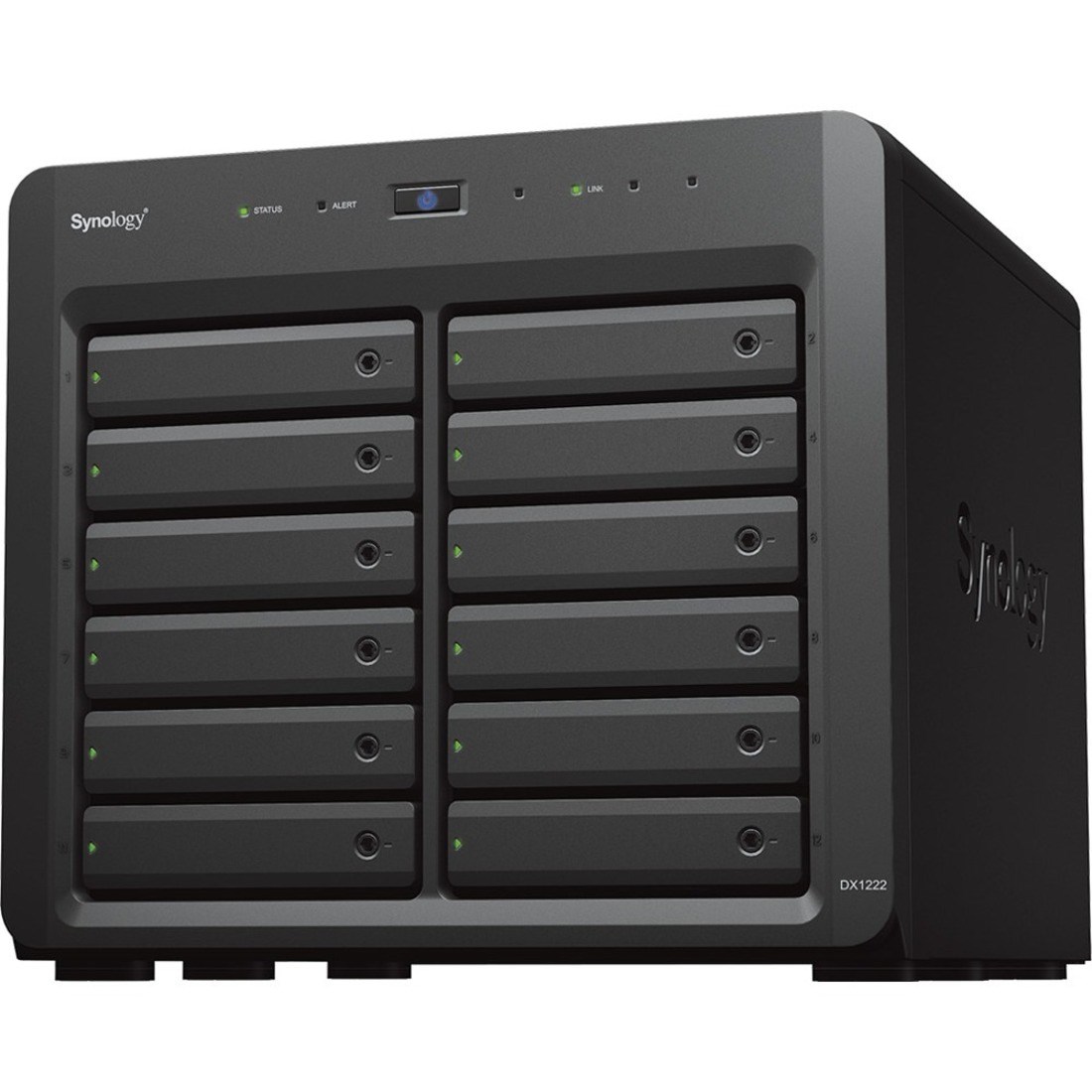 Synology DX1222  