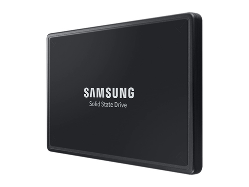 Samsung MZ-QL21T900  